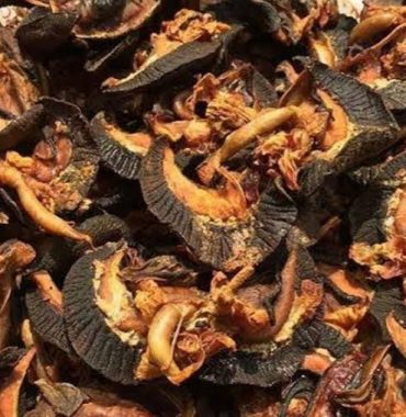 Oven dried snails